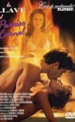 Cennet Cinsel Anahtar – La Llave Del Paraíso Carnal +18 Erotik Film izle