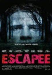 Escapee 2011 Türkçe Dublaj izle
