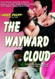 Nazlı Bulut – The Wayward Cloud izle