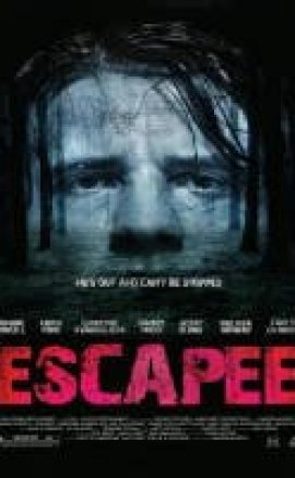 Escapee 2011 Türkçe Dublaj izle