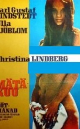 Rötmånad AKA What Are You Doing After the Orgy? 1970 Erotik Film izle